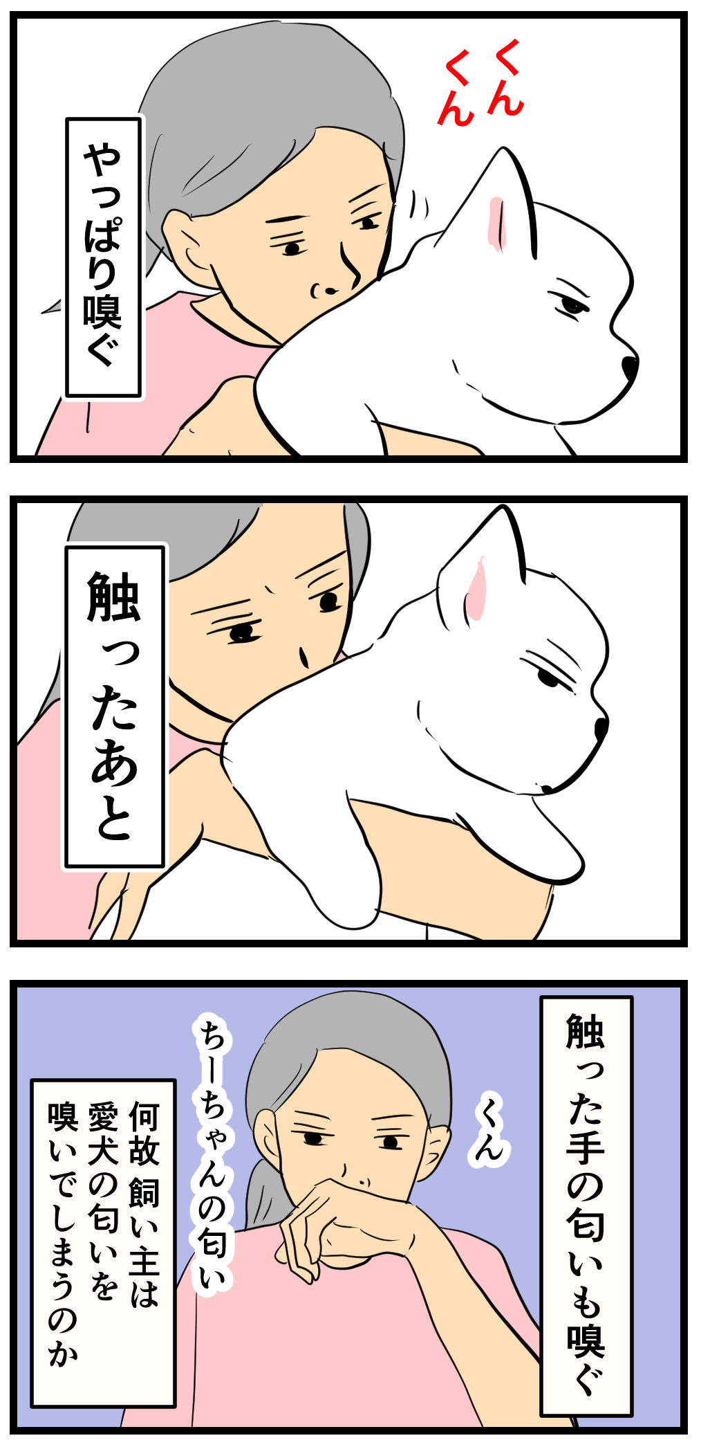 🐶飼い主の習慣&わんちゃんホンポ更新中🐾 : ちーちゃんっ🐾