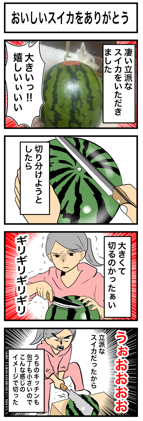 ちーちゃん972