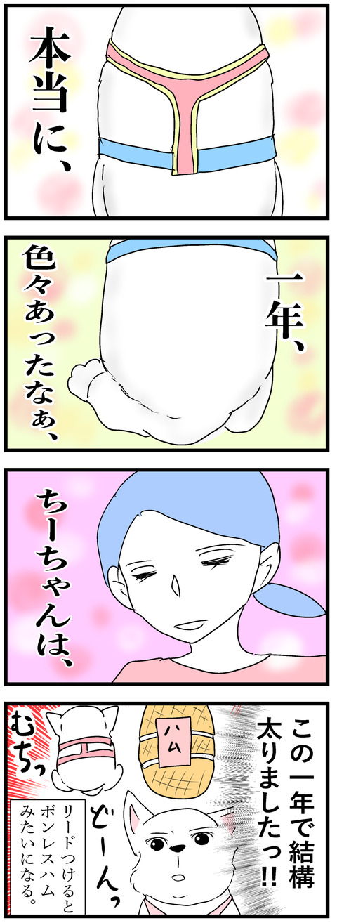 ちーちゃん218-2