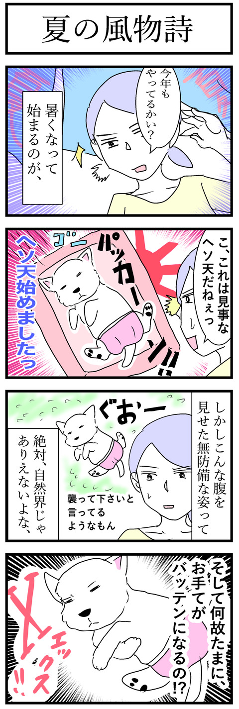 ちーちゃん66