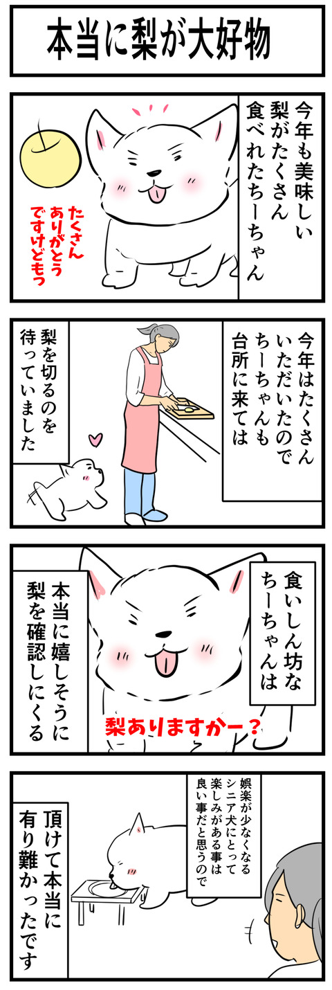 ちーちゃん691-1