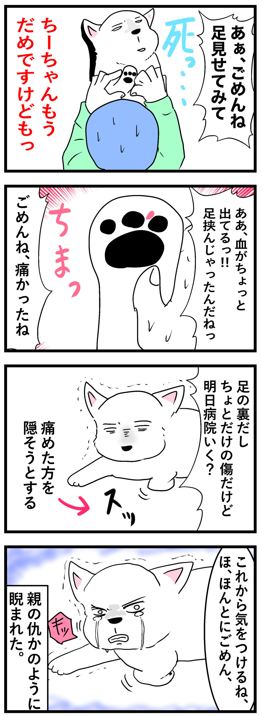 遂に恐れていた事が起きた ちーちゃんっ