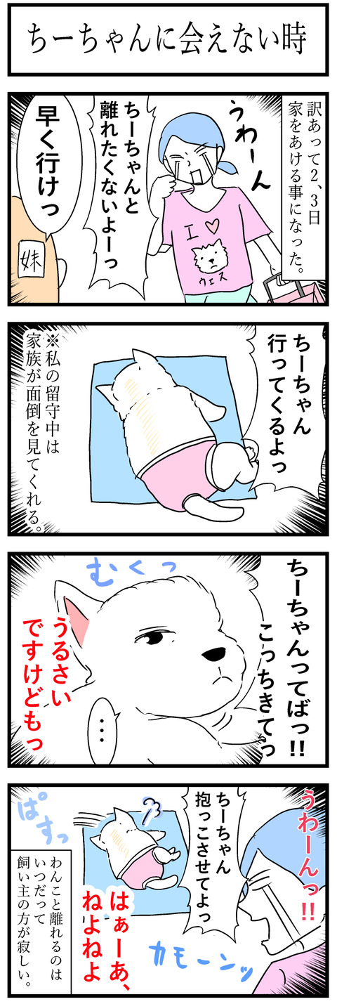 ちーちゃん94
