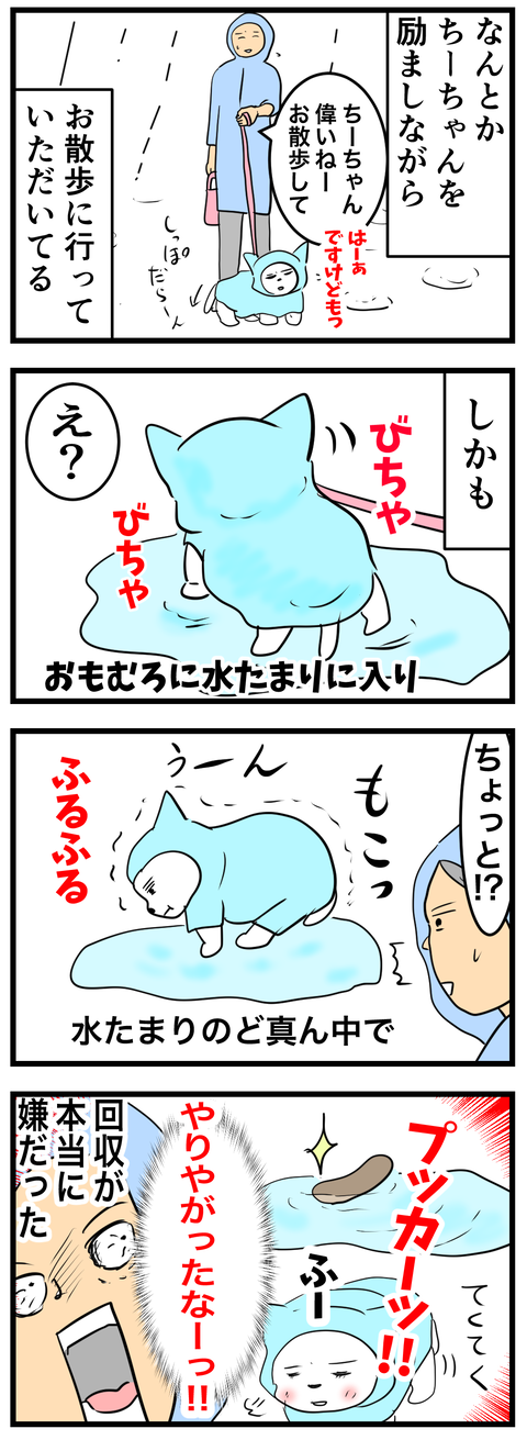 ちーちゃん 693