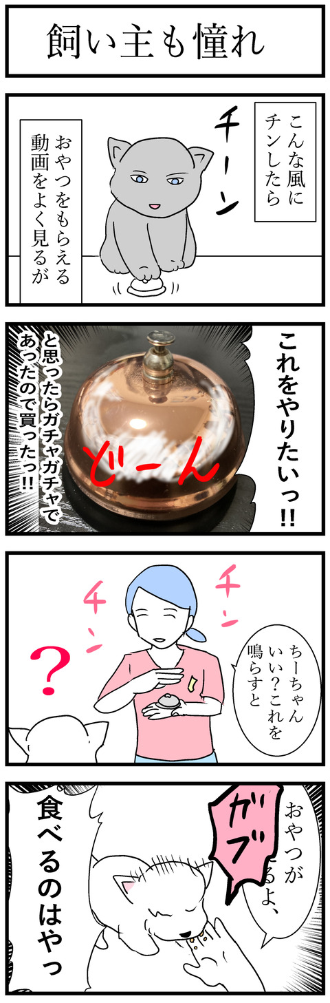 ちーちゃん125-1