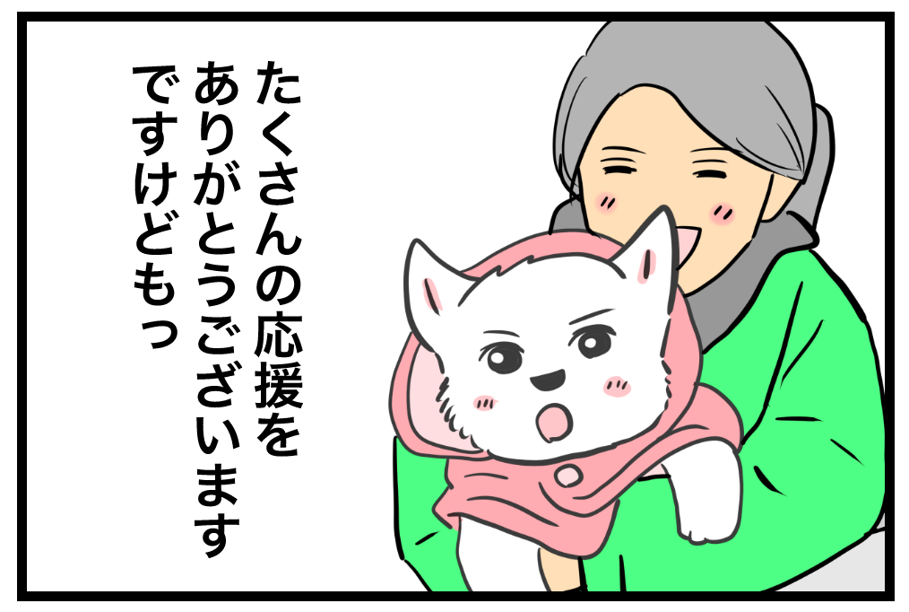 🐶ちーちゃんが反応する音🐾 : ちーちゃんっ🐾