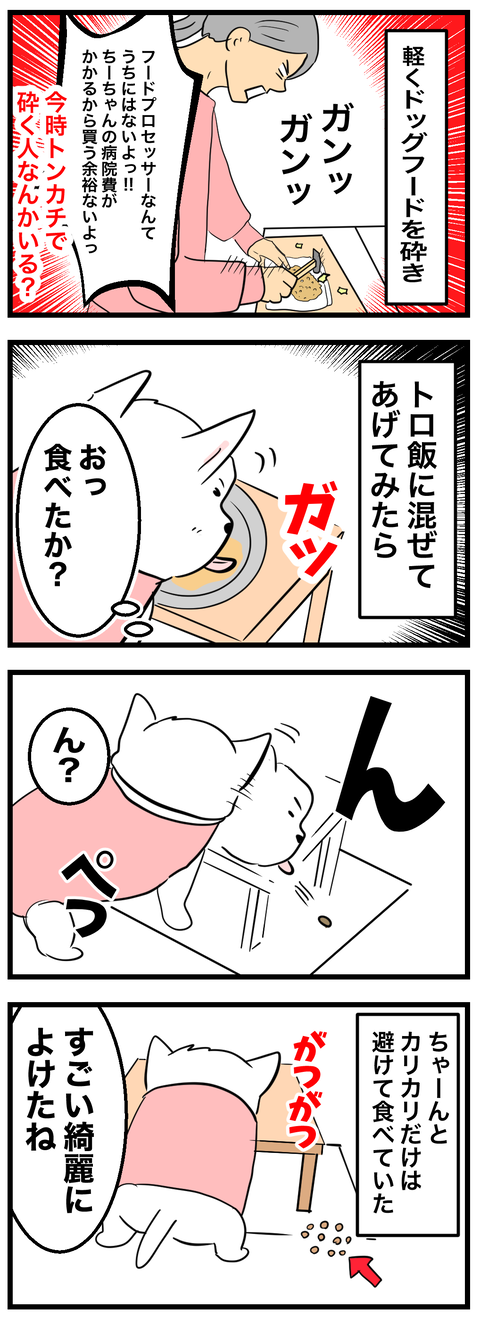 ちーちゃん905