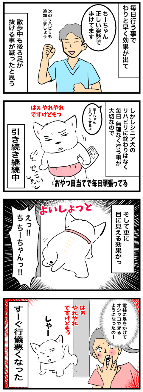 ちーちゃん771