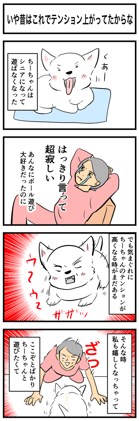コミック6