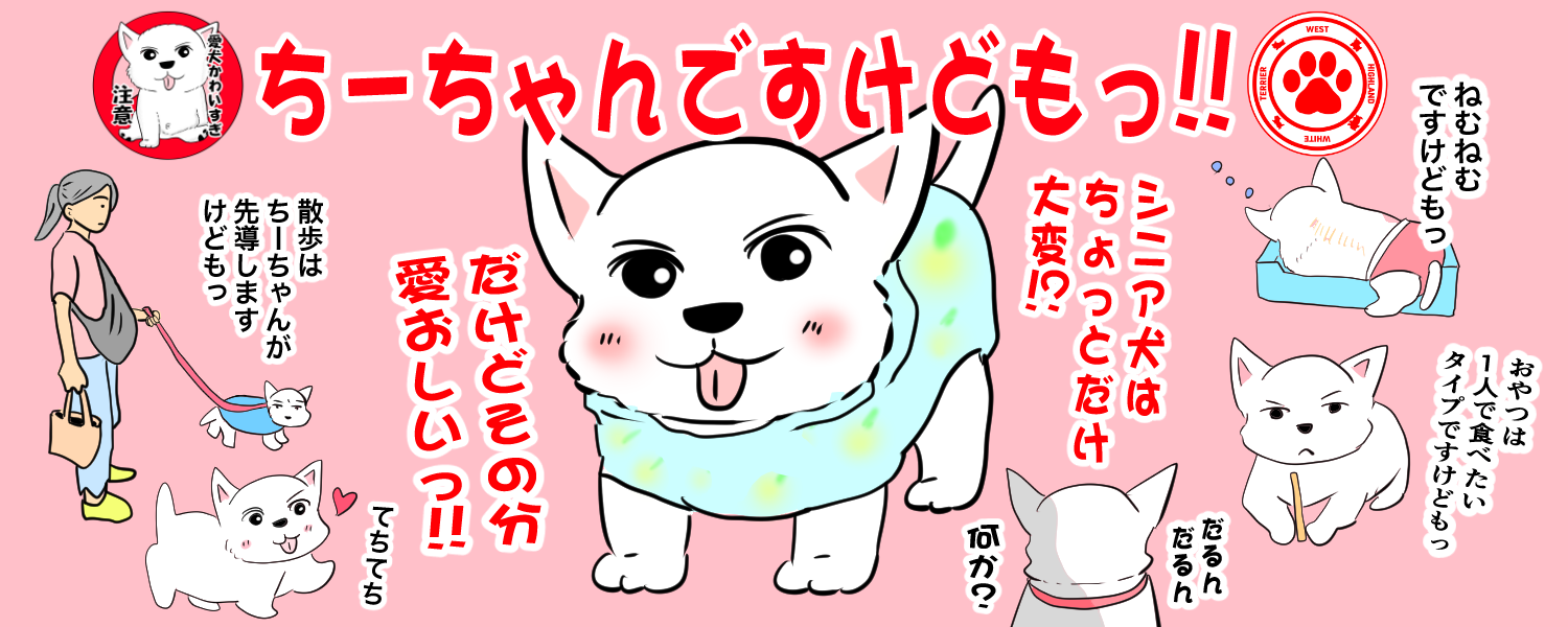 ちーちゃんっ🐾