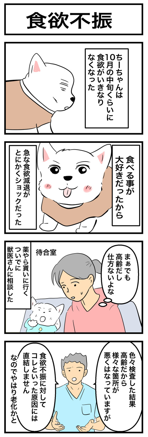 ちーちゃん896-1