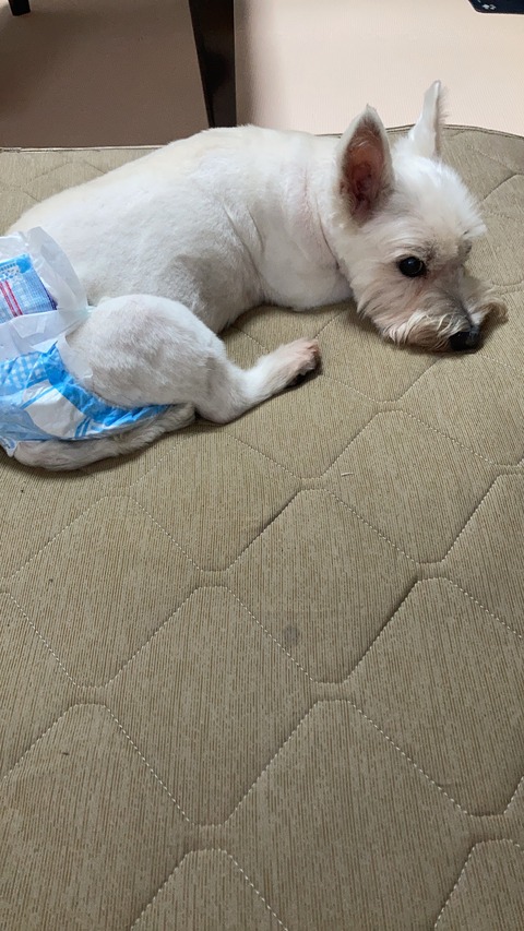 119984EF-E5C3-4A7A-8592-962169DE0446