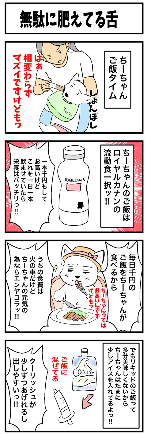 ちーちゃん978