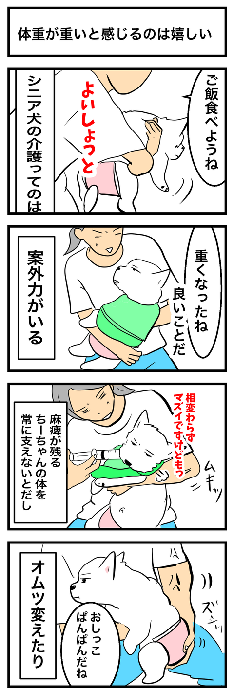 ちーちゃん976