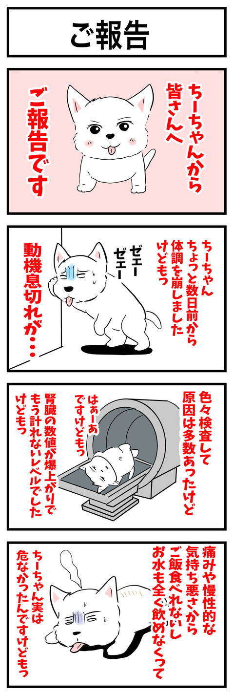 ちーちゃん900-1