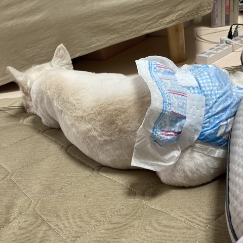 7F27AE2F-25BD-4B58-8943-817429872759