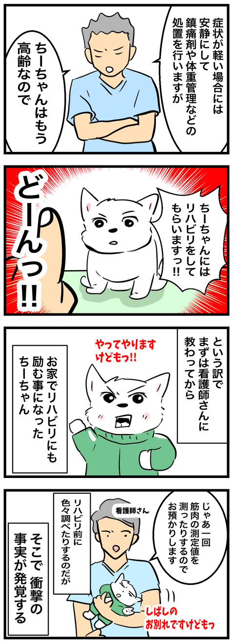 ちーちゃん767