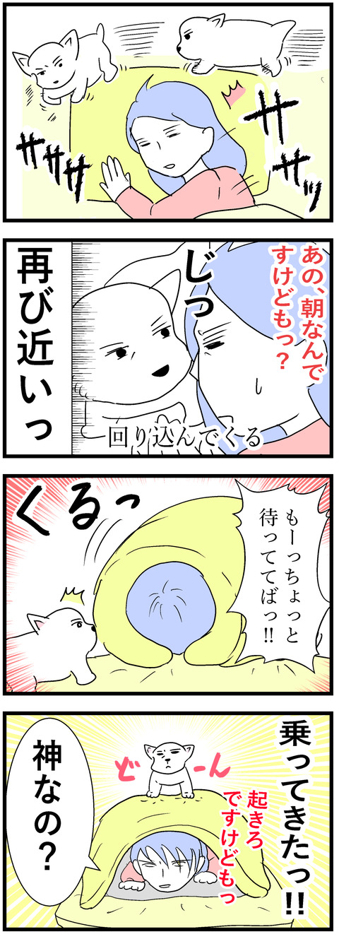 ちーちゃん215-2