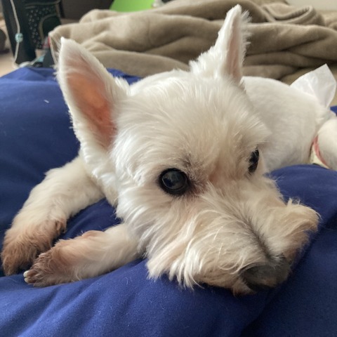 8118E00D-C774-4B3C-B06D-85F83B557C53