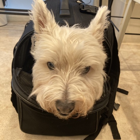 19AF6C83-0E21-4D9E-BAE2-C7A770F3BD86