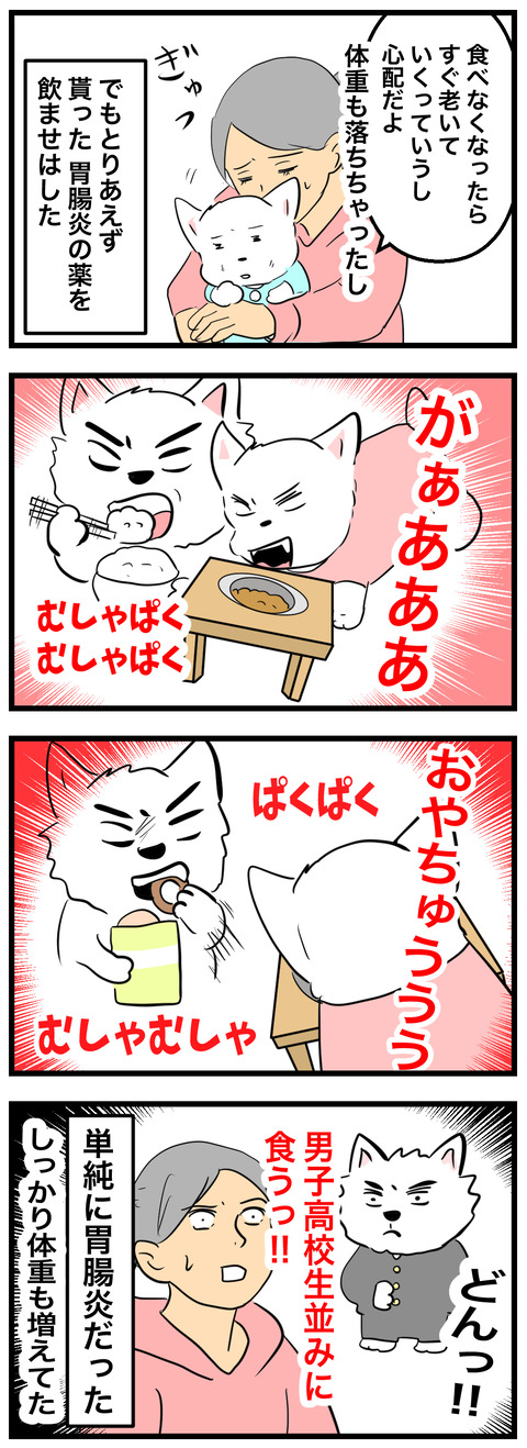 ちーちゃん896-2