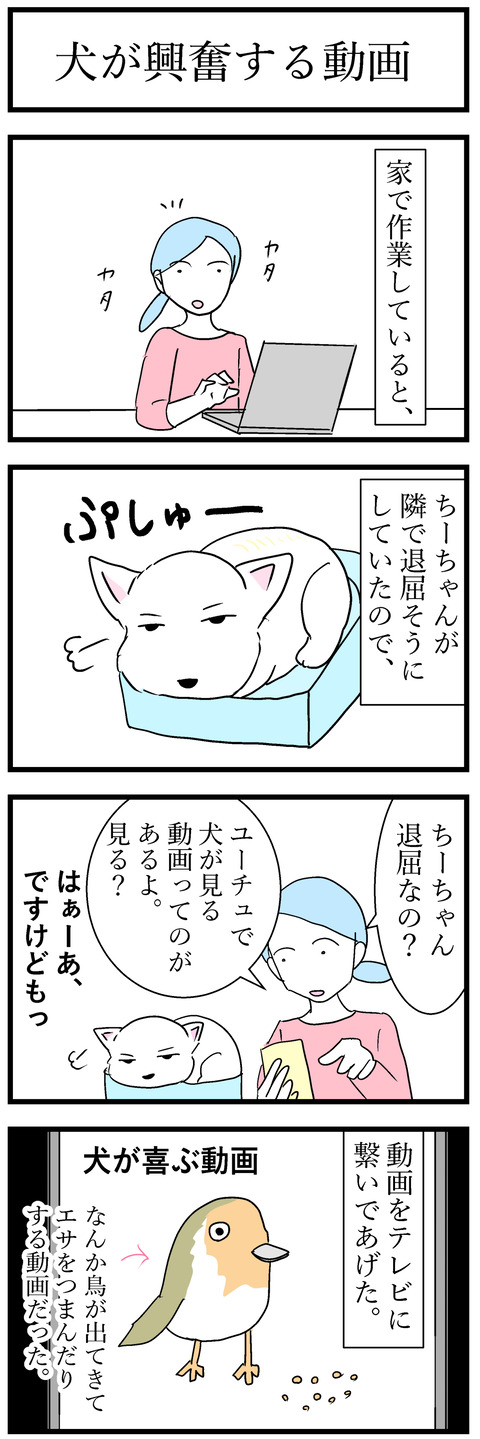 ちーちゃん131-1