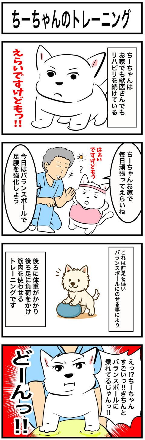 ちーちゃん892-1