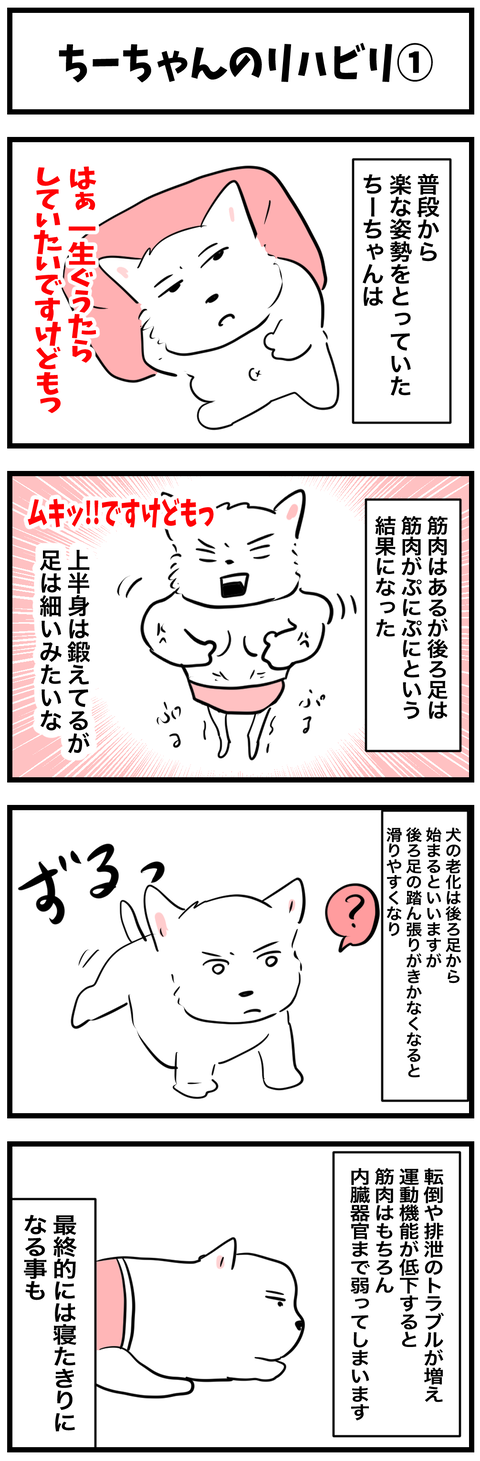 chizu770