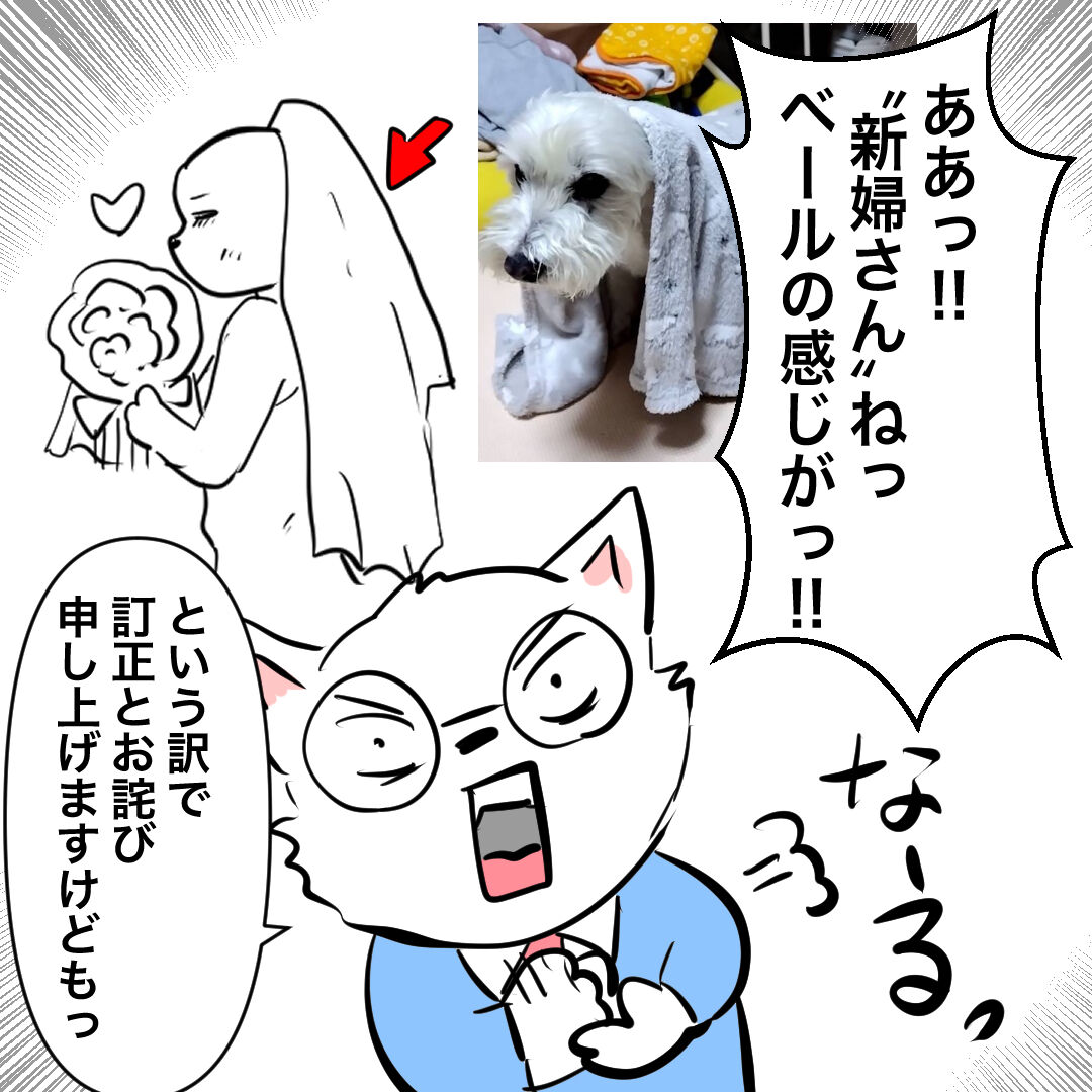 わんこ ー る 速報