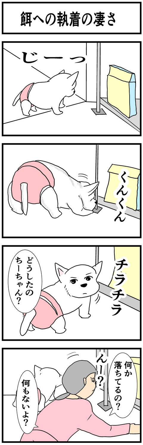 ちーちゃん481-1