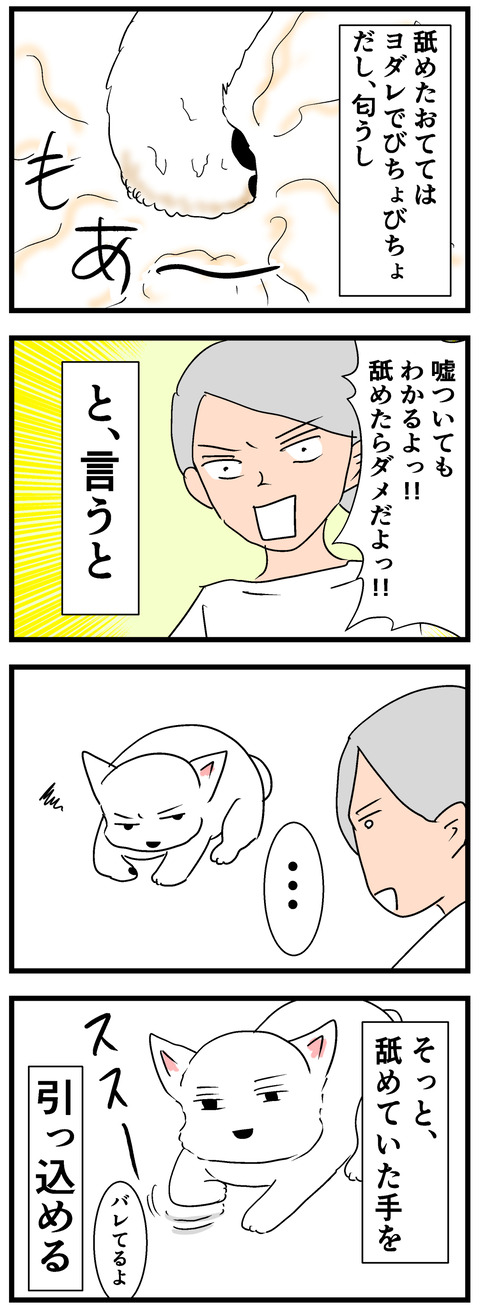 ちーちゃん404-2