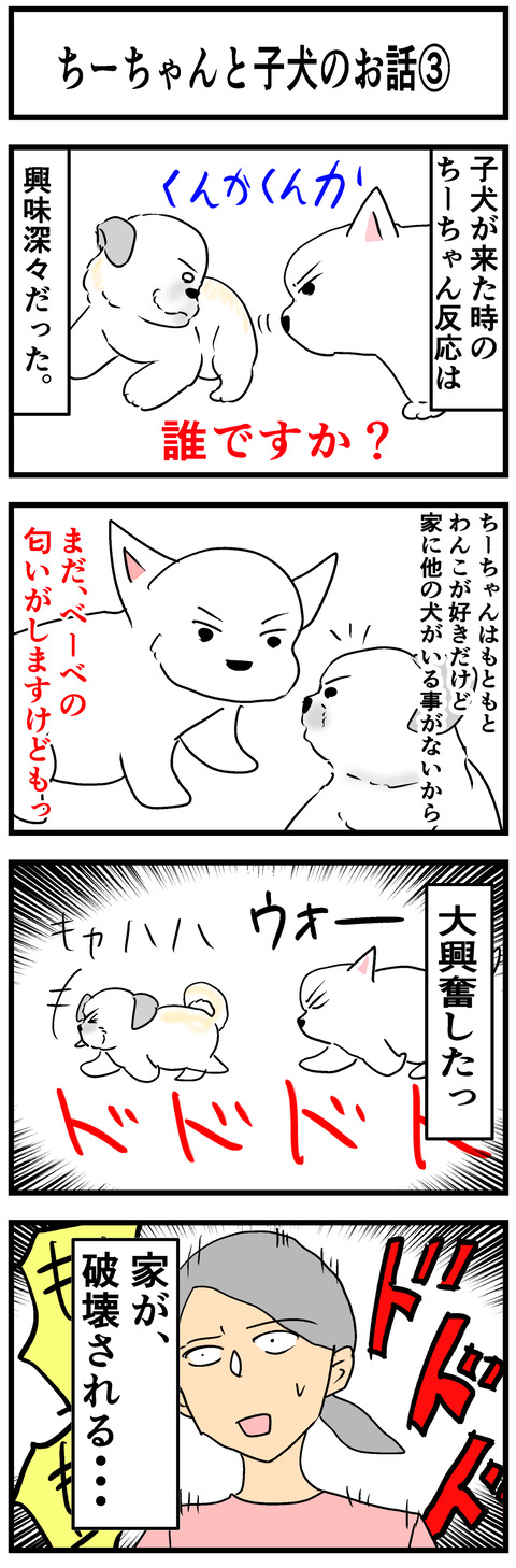 ちーちゃん372-1