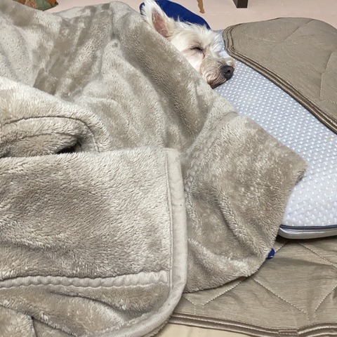 1659BA54-499D-440E-8743-ADCE951B6D5B