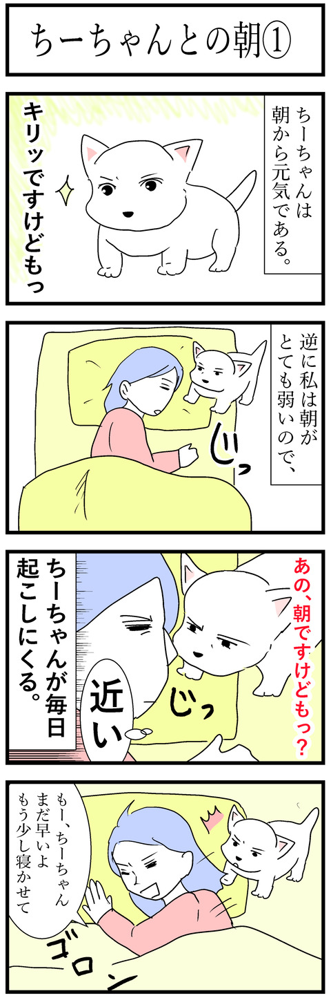 ちーちゃん215-1