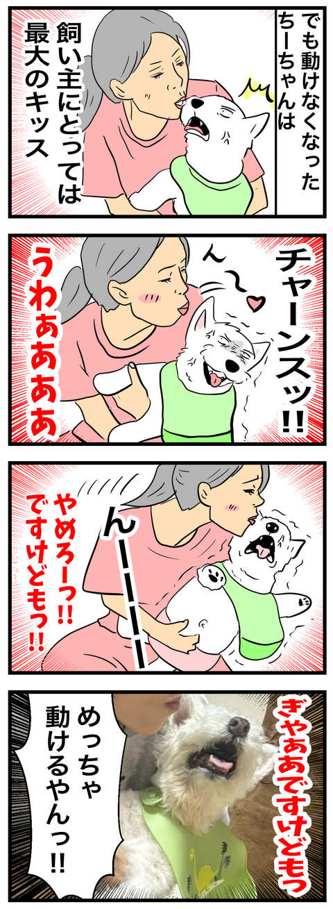 ちーちゃん975