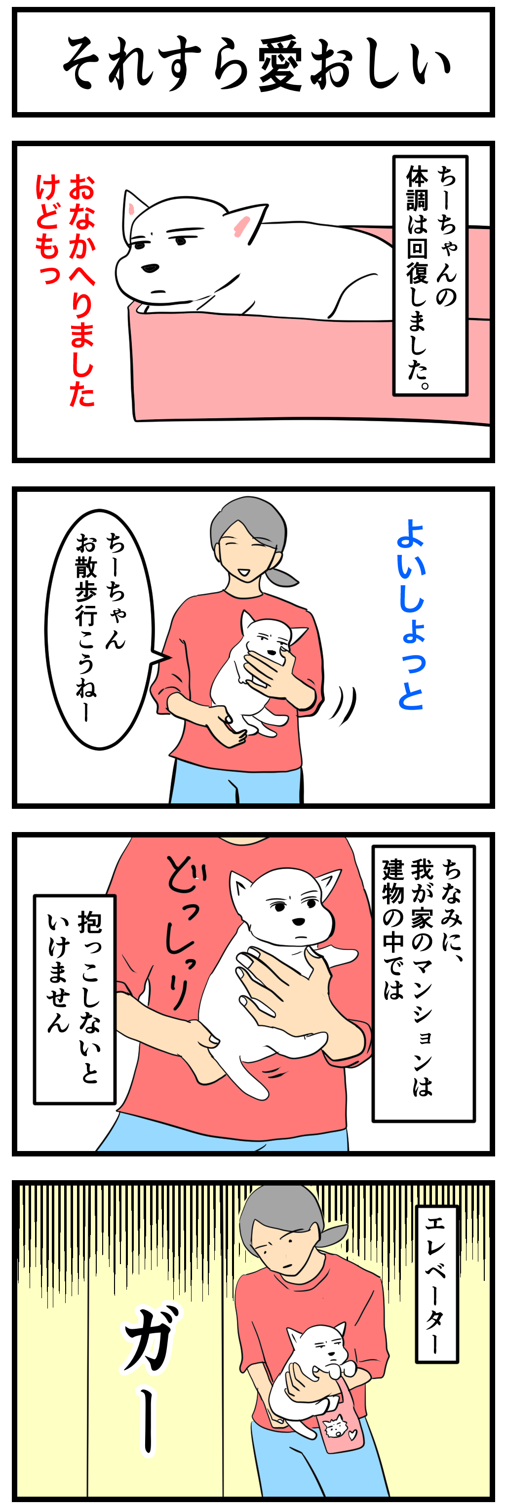 🐶それすらも何か愛おしい🐾 : ちーちゃんっ🐾