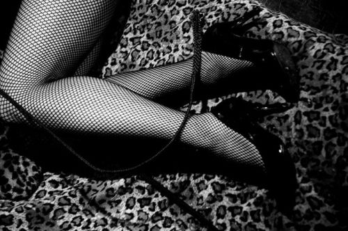 leg