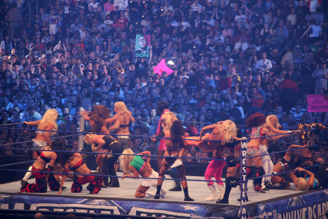 1920px-Diva_Battle_Royal_at_WrestleMania_25_2