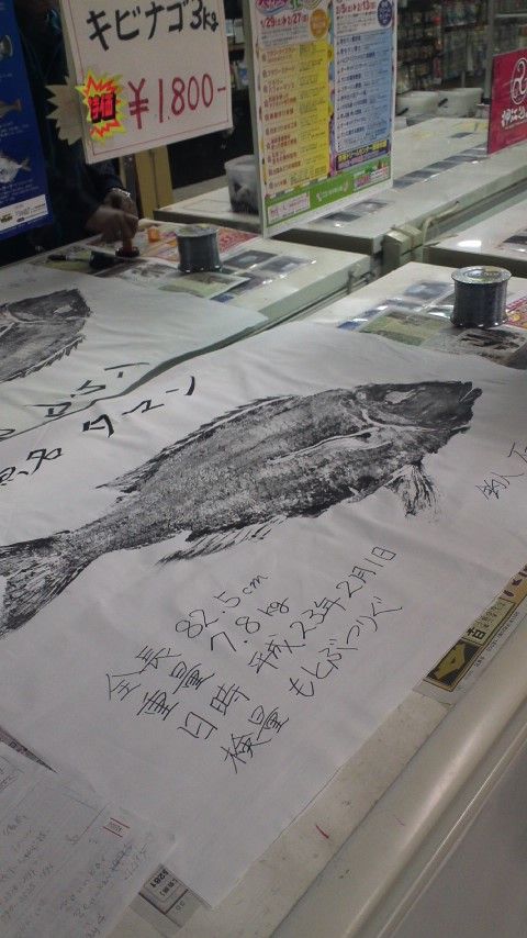 超特大タマン ハマフエフキ 魚拓 Gacyunのblog