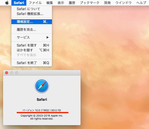Safari10_b