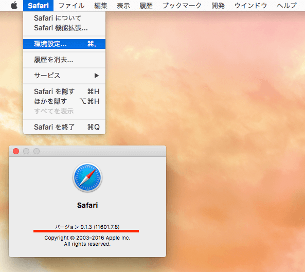Safari9_a
