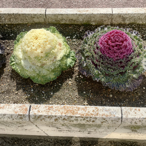12 HDR