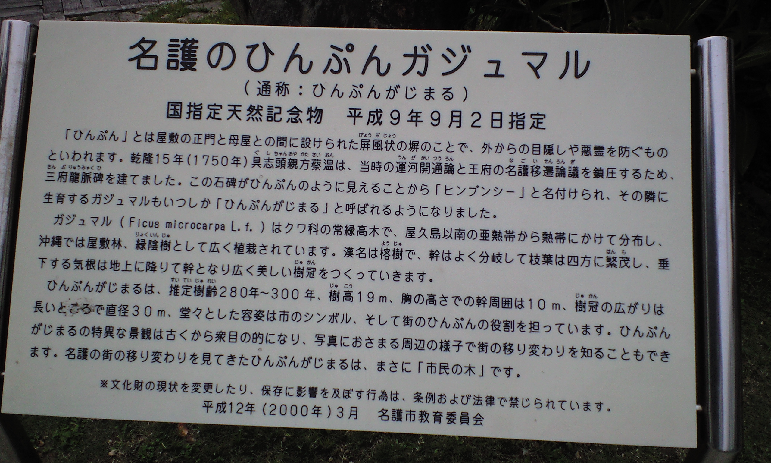 沖縄旅行 4 2 4 ヒンプンガジュマル Di Ction Ary