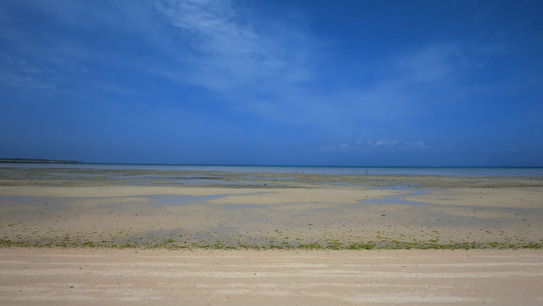 Di Ction Ary 離島