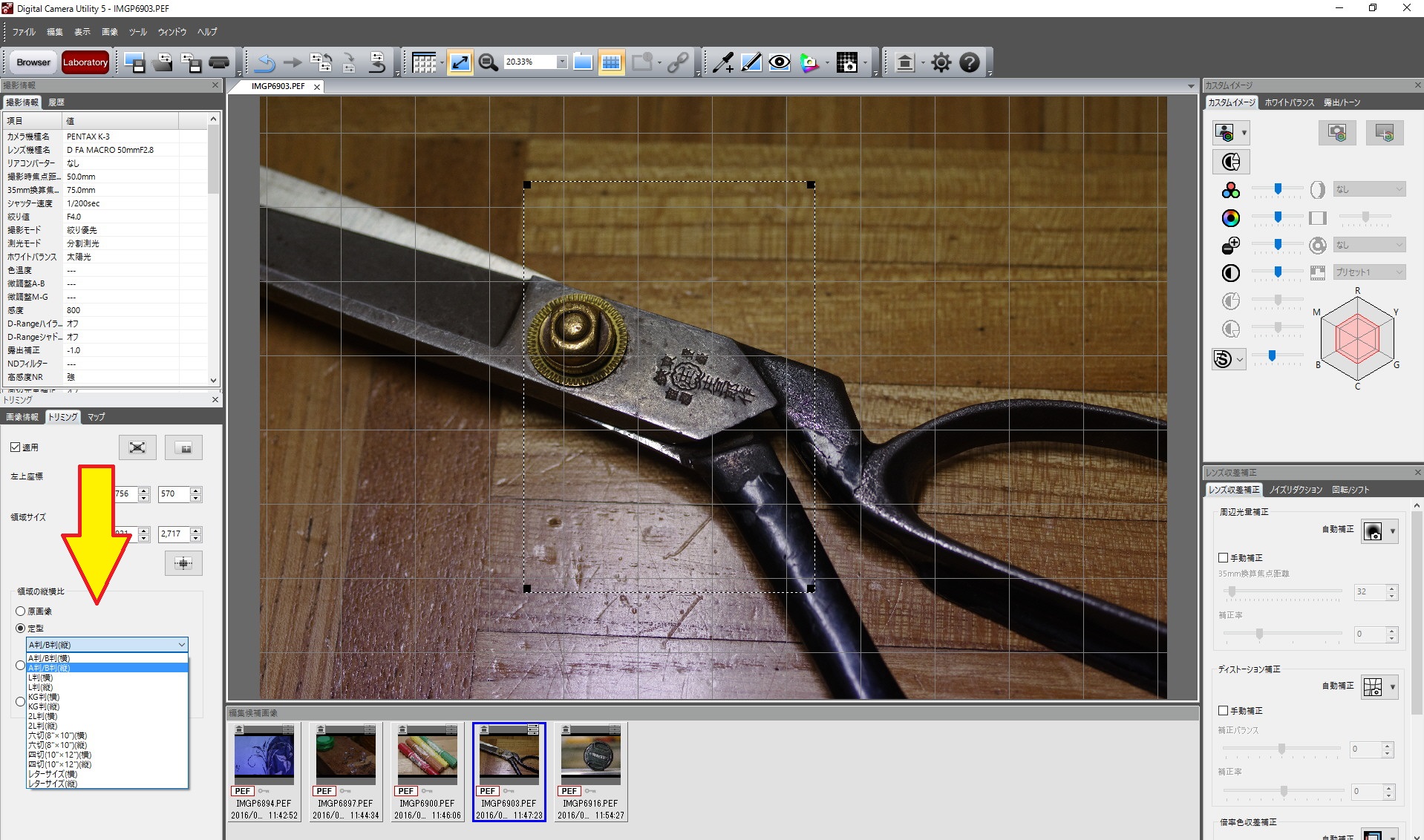 Digital Camera Utility 5 簡単な操作方法 ヘッポコが たんの記録簿 Digital Camera Utility 5 簡単な操作方法 ヘッポコが たんの記録簿