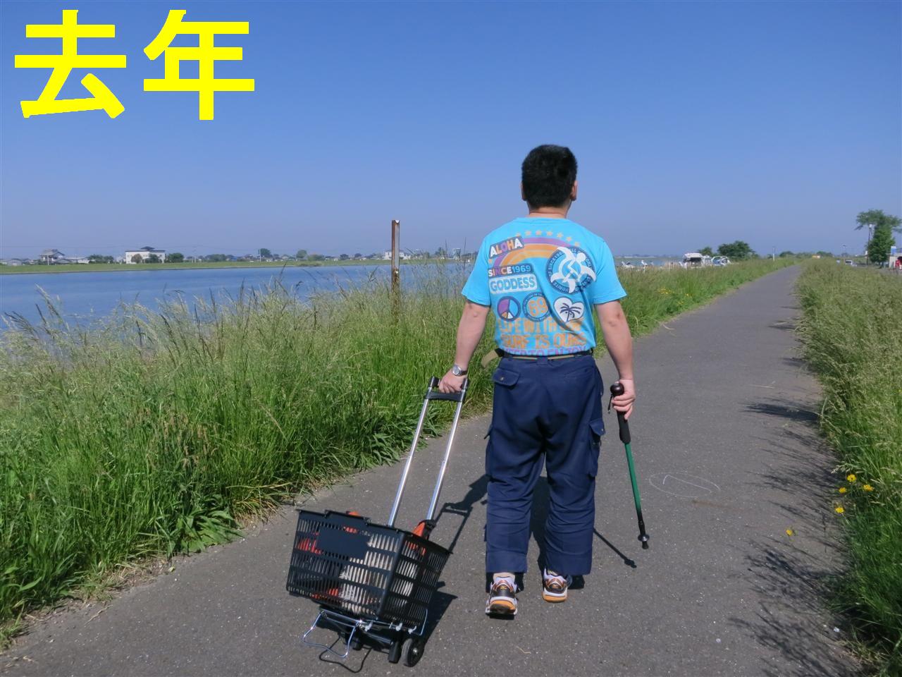 ショッピングカート ヘッポコが たんの記録簿