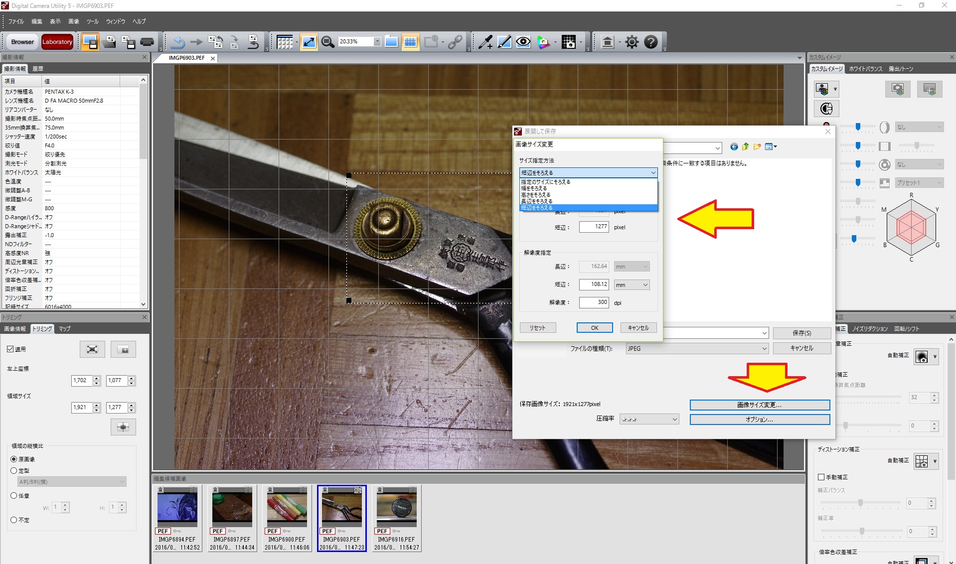 Digital Camera Utility 5 簡単な操作方法 ヘッポコが たんの記録簿 Digital Camera Utility 5 簡単な操作方法 ヘッポコが たんの記録簿