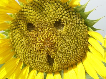 140