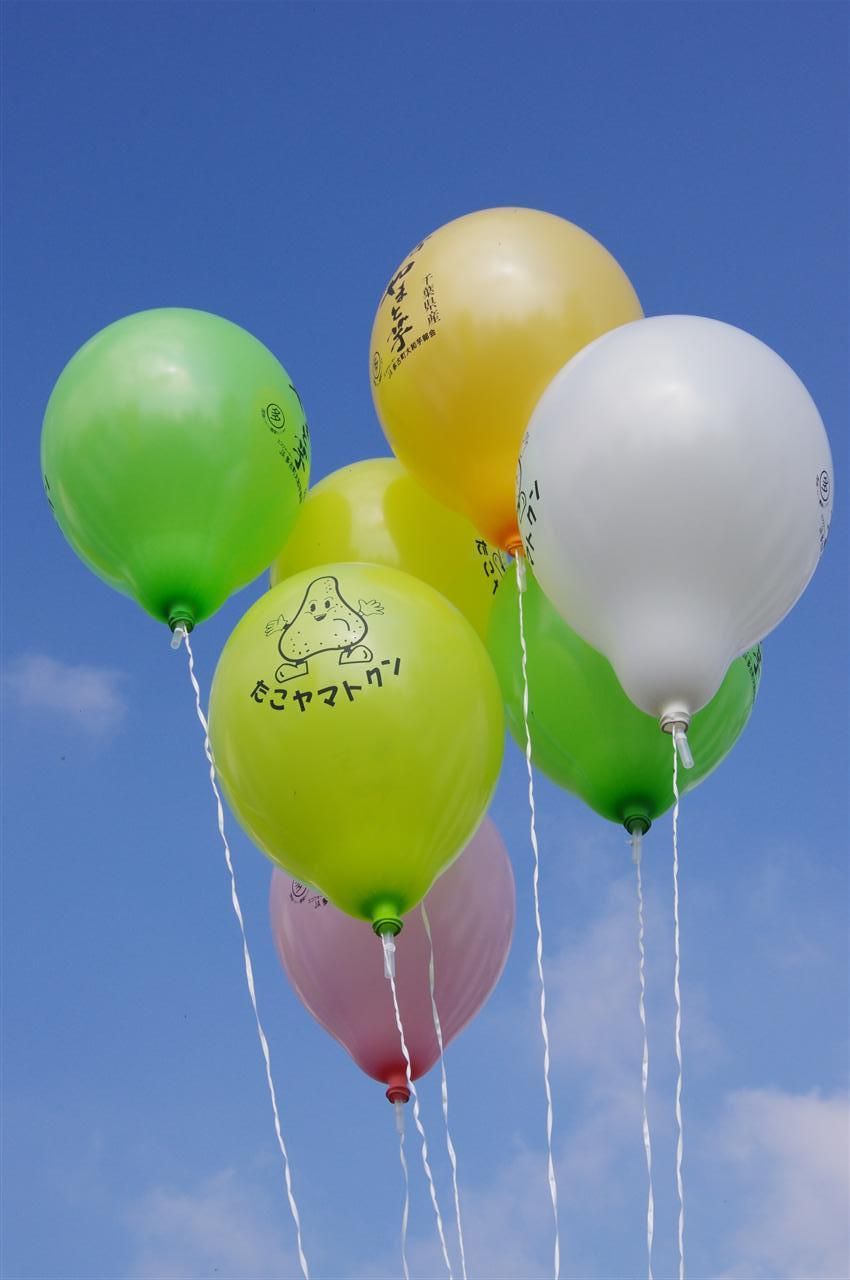 いきいきフェスタtako11 小島嵩弘 高頭なお 齊藤涼子 大宮大神本殿参拝 ヘッポコが たんの記録簿 いきいきフェスタtako11 小島嵩弘 高頭なお 齊藤涼子 大宮大神本殿参拝 ヘッポコが たんの記録簿