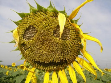150
